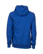 Arena TEAM HOODED SWEAT PANEL