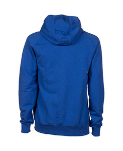 Arena TEAM HOODED SWEAT PANEL