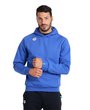 Arena TEAM HOODED SWEAT PANEL