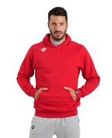 Arena TEAM HOODED SWEAT PANEL