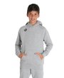Arena JR TEAM HOODED SWEAT PANEL