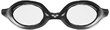 Arena Spider
