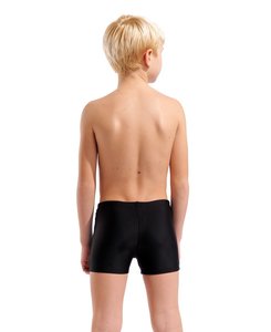 Arena B ARENA PAINT SWIM SHORT JR