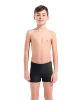 Arena B ARENA PAINTERLY SWIM SHORT JR