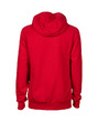 Arena TEAM HOODED SWEAT PANEL
