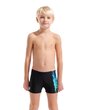 Arena B ARENA PAINT SWIM SHORT JR