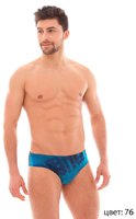 Optic brief