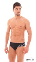 Spring brief